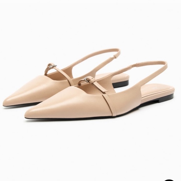 Zara Shoes - BNWOT Zara Flats | Pointed toe | Slingback